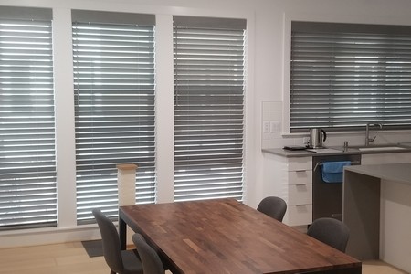 Window Blinds