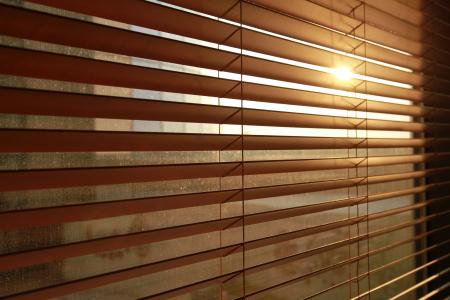 Window Blinds