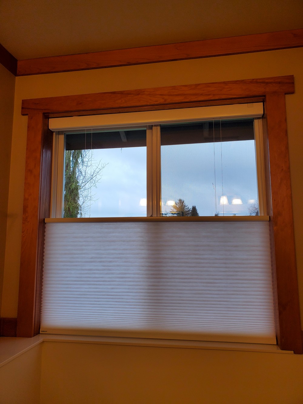 Excellent Motorized Top-Down Bottom-Up Honeycomb Shades in Monroe, WA Image
