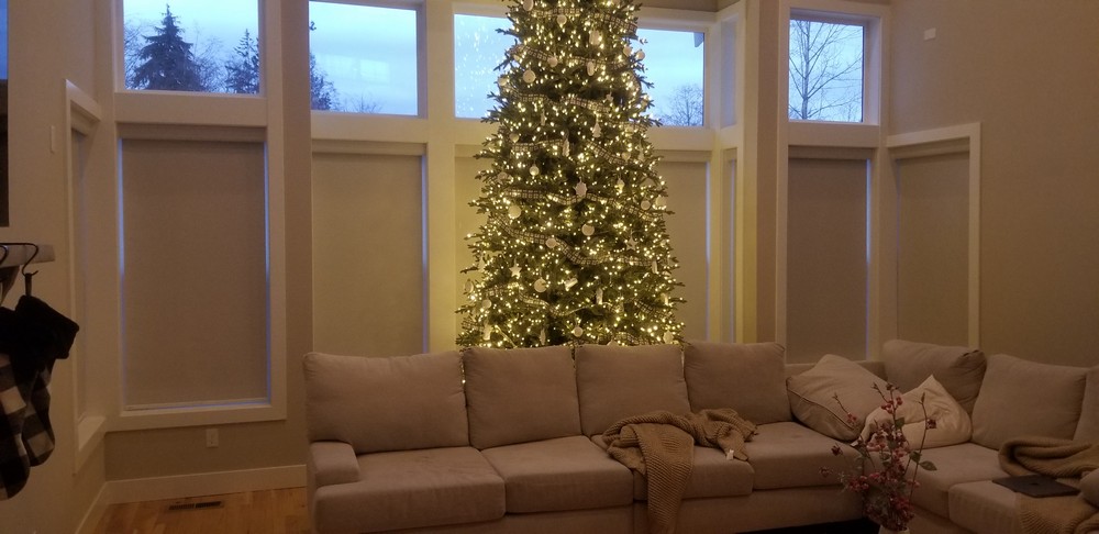 Soluna roller shades from norman monroe wa
